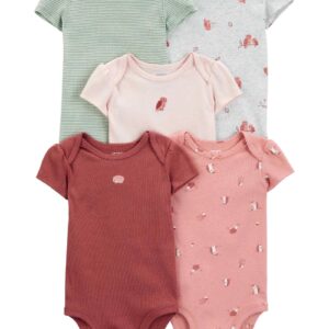 Kit body bebê 5 peças coruja porco espinho multicor | Carter's