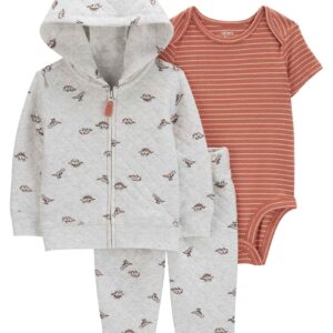 Conjunto longo de moletom bebê  3 peças dinossauros multicor | Carter's