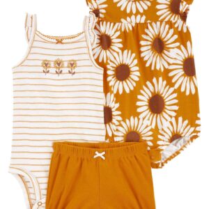 Conjunto curto bebê 3 peças com babados floral listrado multicor | Carter's