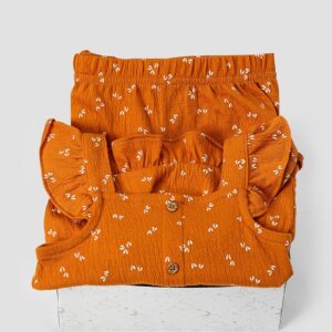 Conjunto curto infantil 2 peças texturizado borboleta + caixa presente P | Carter's